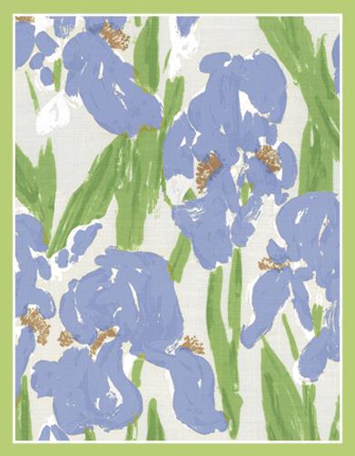 Gift Enclosures Pkt 4/Env- Irises